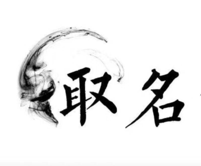  仲巴宝宝取名 大师一对一人工起名