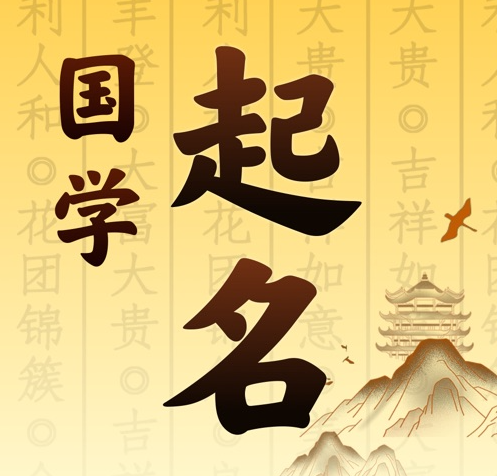 仲巴国学起名 人工起名一对一